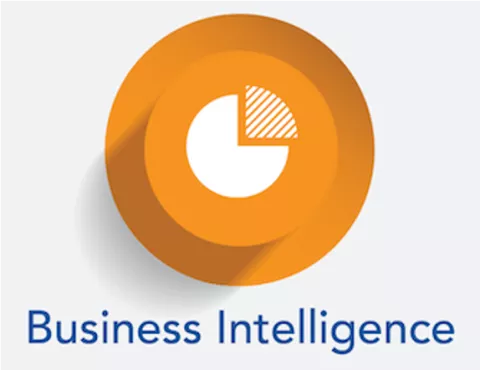 Business Intelligence logo of a pie chart on an orange circle